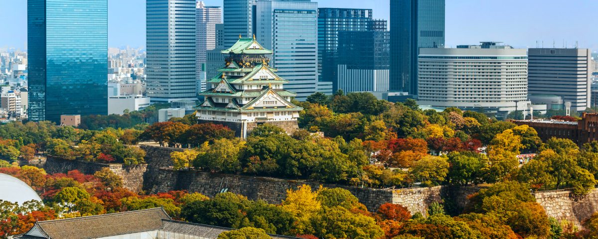 مجله معماری خانه نو طرح نو